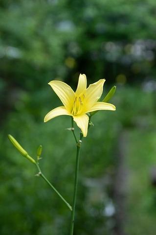 20220721yusuge_planter_y14_1626.jpg