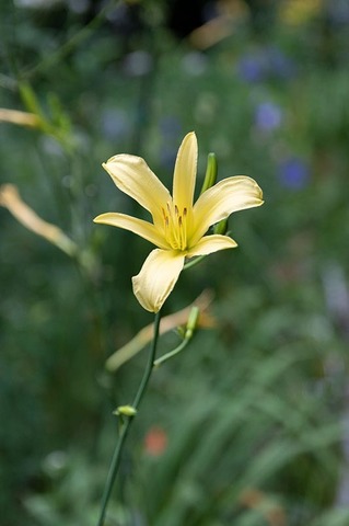 20220816yusugeA01_1813.jpg