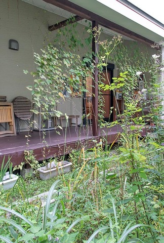 20220909midori01.jpg