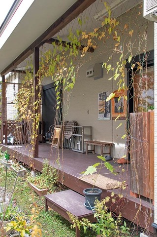 20221027midori02.jpg