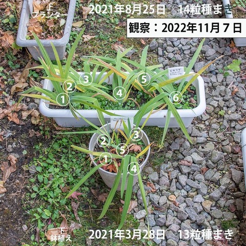 20221107hiougi01.jpg