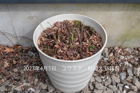 20230405EXQ_A15N01.jpg