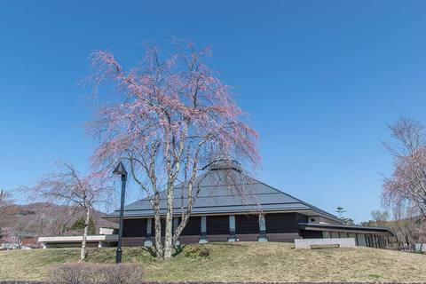 20230410yagasaki-shidare-sakuraB01.jpg