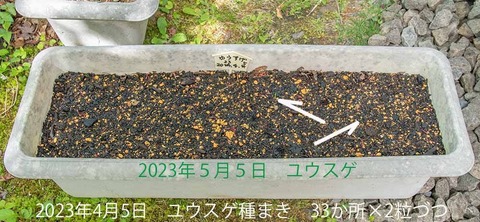 20230505pكEXQ_v^[1N20230405܂01.jpg