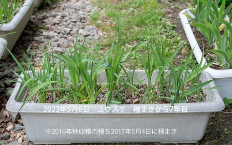 20230506EXQ_v^[7N01_20170504܂.jpg