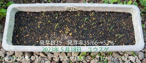 20230518pكEXQ_v^[1N20230405܂01.jpg