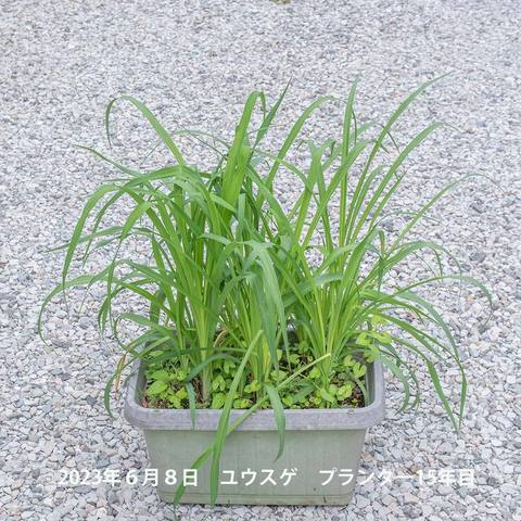 20230608pكEXQ_v^[15N.jpg