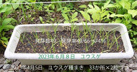 20230608pكEXQ_v^[1N20230519܂01.jpg