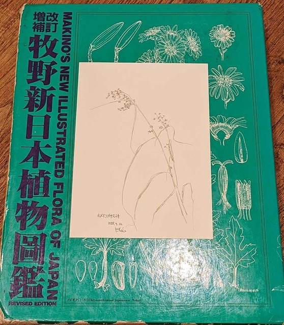 20230611museum_himematsukasasusuki_postcard.jpg