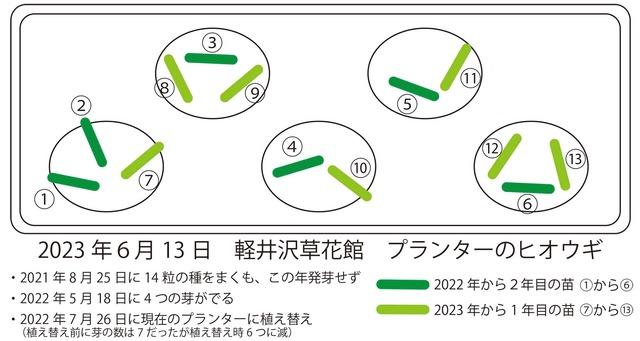 20230613qIEM_v^[.jpg