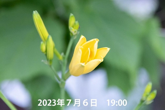 20230706pكEXQ05_1903.jpg
