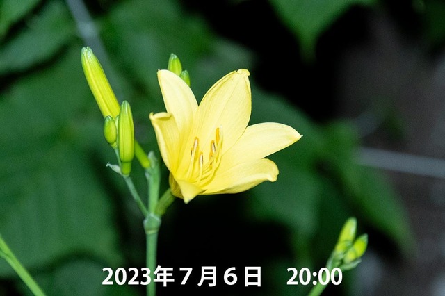20230706pكEXQ06_2011.jpg