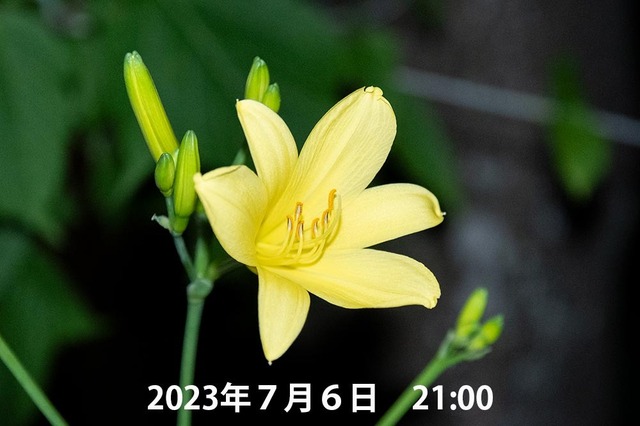 20230706pكEXQ07_2104.jpg