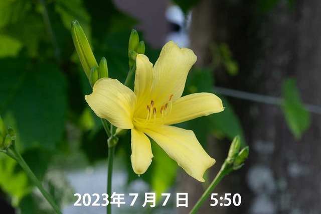 20230706pكEXQ08_20230707_0549.jpg