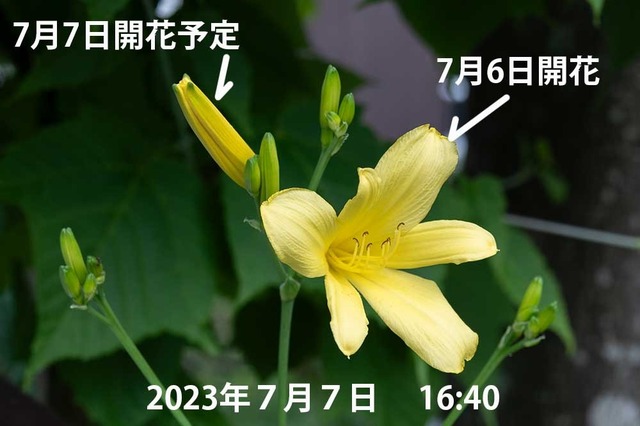 20230707pكEXQ_1640.jpg