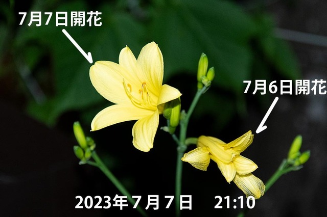 20230707pكEXQ_2110.jpg