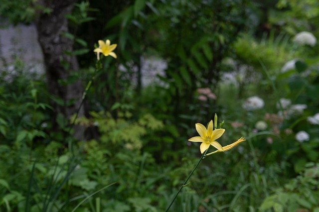 20230712EXQA&B01_1712.jpg