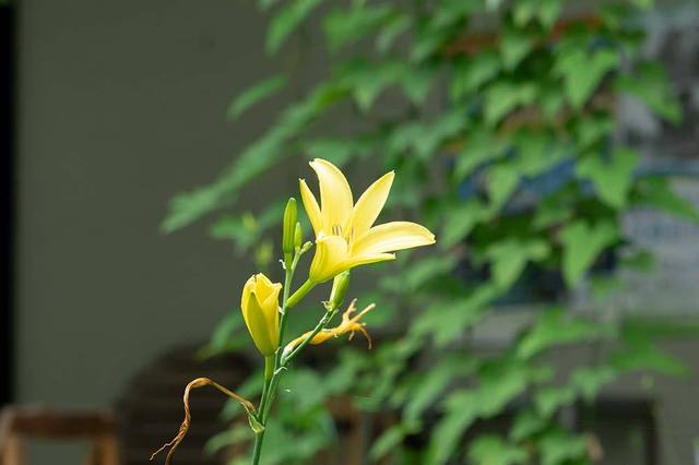 20230714yusugeB01-1652.jpg