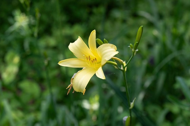 20230716yusugeA01-1616.jpg