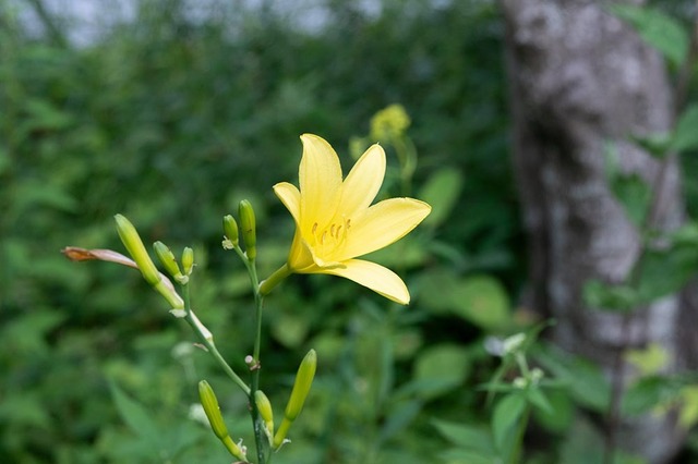 20230717yusugeA01-1730.jpg