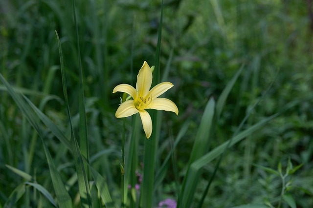 20230720yusugeA01-1647.jpg