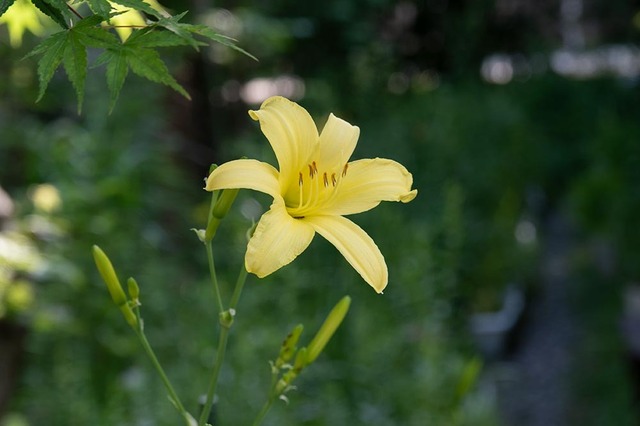 20230720yusugeB01-1648.jpg