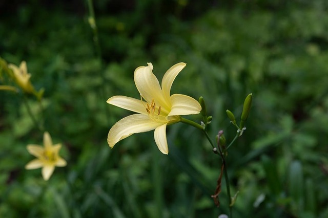 20230721yusugeA01-1638.jpg