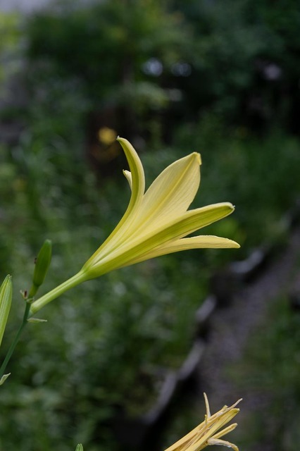 20230721yusugeB01-1639.jpg
