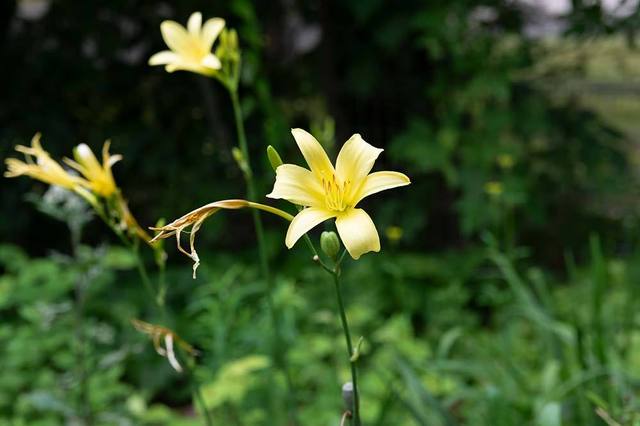 20230723yusugeB01-1647.jpg