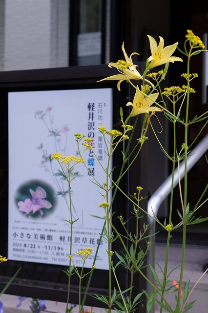 20230802yusugeA01-1655.jpg