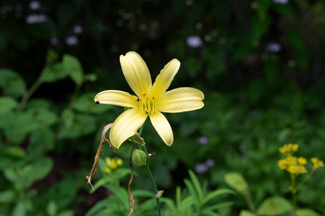 20230804yusugeA01-1656.jpg