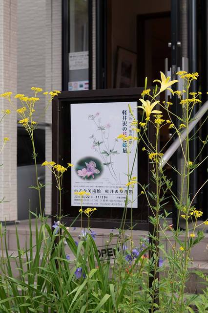 20230806yusugeB01-1647.jpg