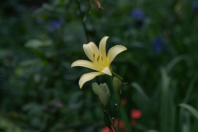 20230808yusugeB01-1818.jpg