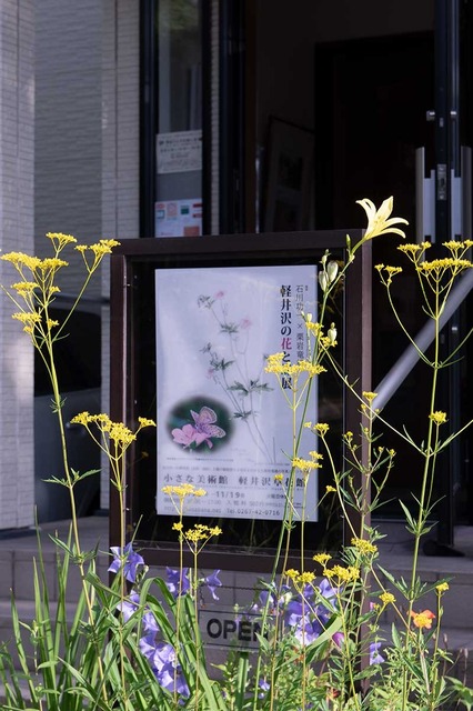 20230810yusugeA01-1647.jpg