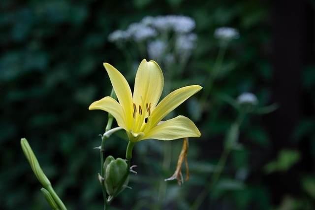 20230812yusugeA01-1707.jpg