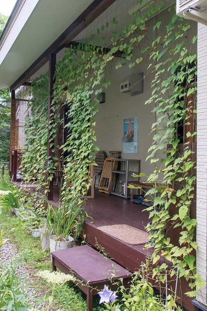 20230830midori02.jpg