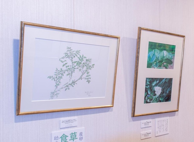 20231003museum_kureson_monshirocho.jpg