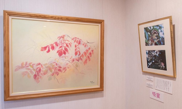 20231003museum_nurude_chou.jpg