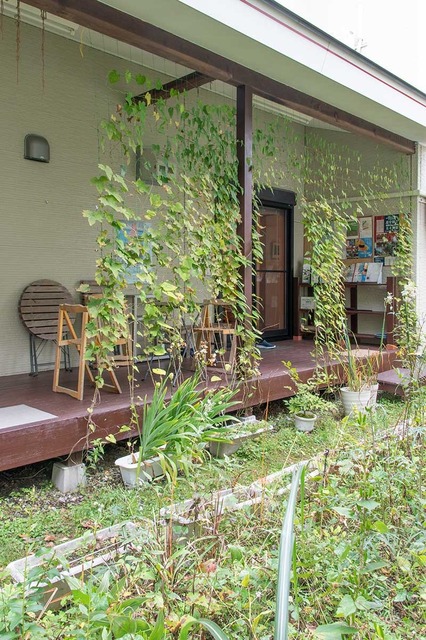 20231008midori01.jpg