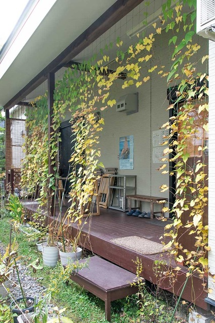 20231019midori02.jpg