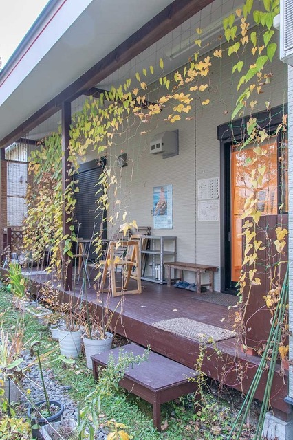 20231026midori02.jpg