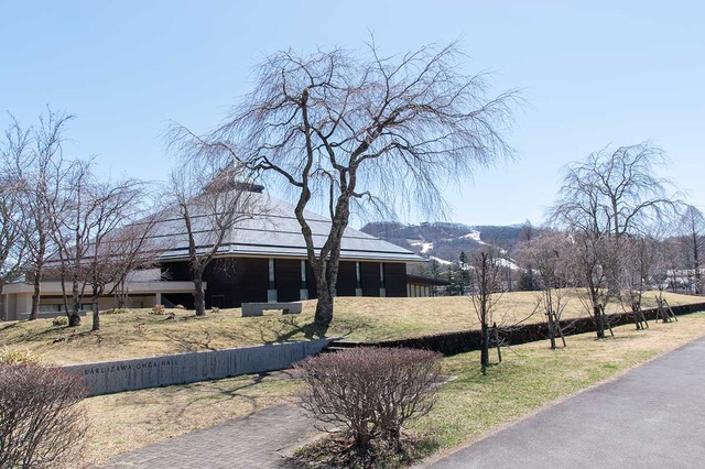 20240410yagasaki-shidare-sakuraA01.jpg