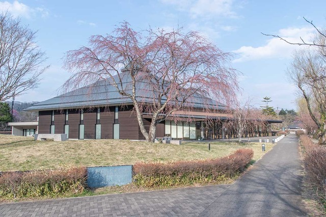 20240416yagasaki-shidare-sakuraC01.jpg