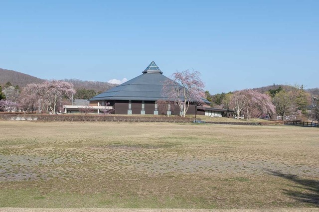 20240419yagasaki-ohgahole.jpg