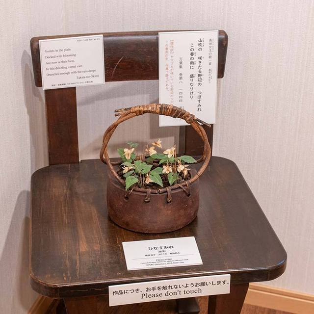 20240424hinasumire_shinojhara.jpg