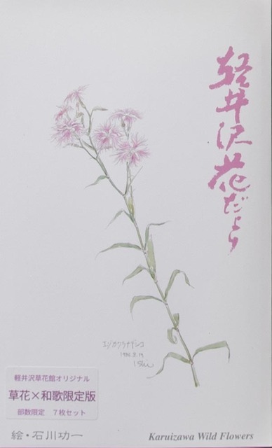 20240428kusabanakan_postvcard_waka01.jpg