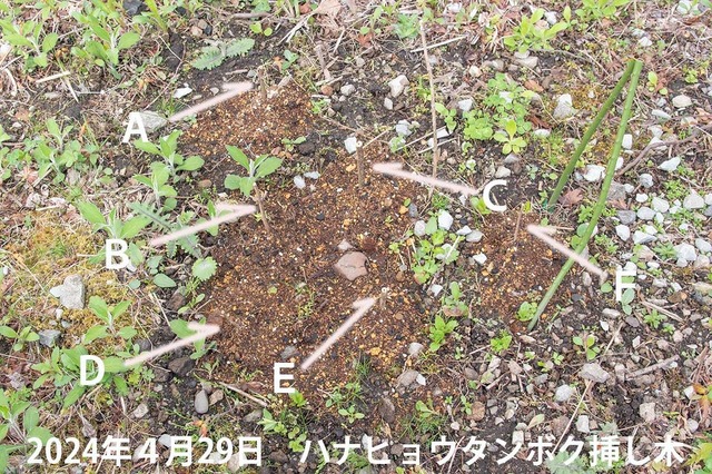 20240429niqE^{N}01.jpg