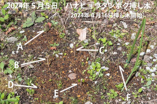 20240505niqE^{N}00.jpg
