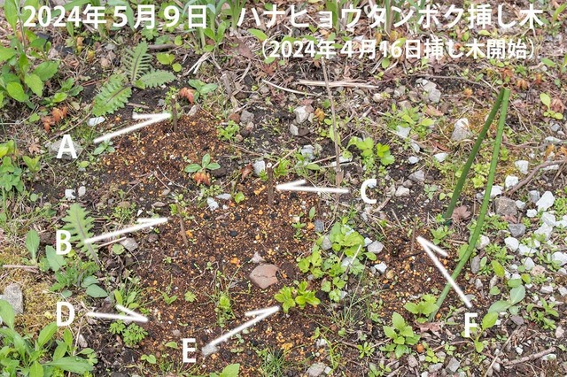 20240509niqE^{N}00.jpg