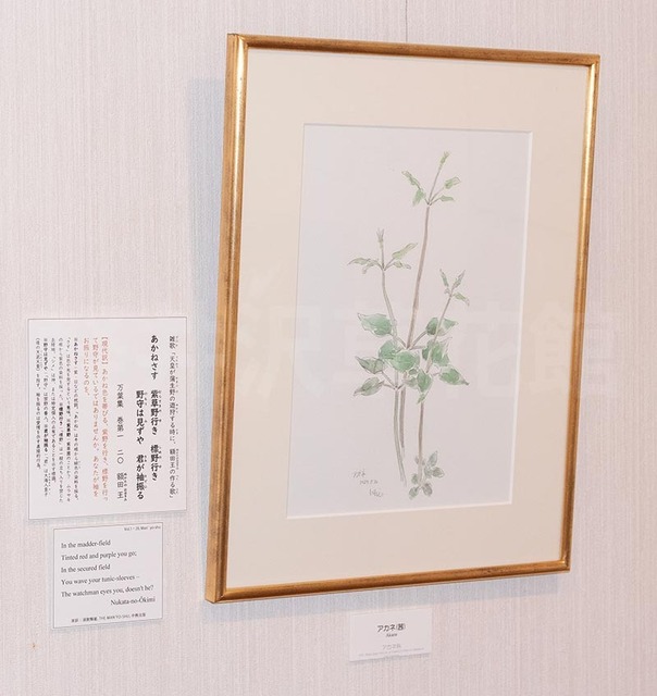 20240519AJl19890530.jpg